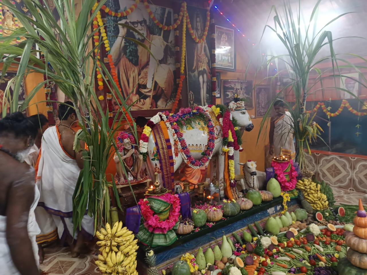 Makara Sankranti & Go Pooja